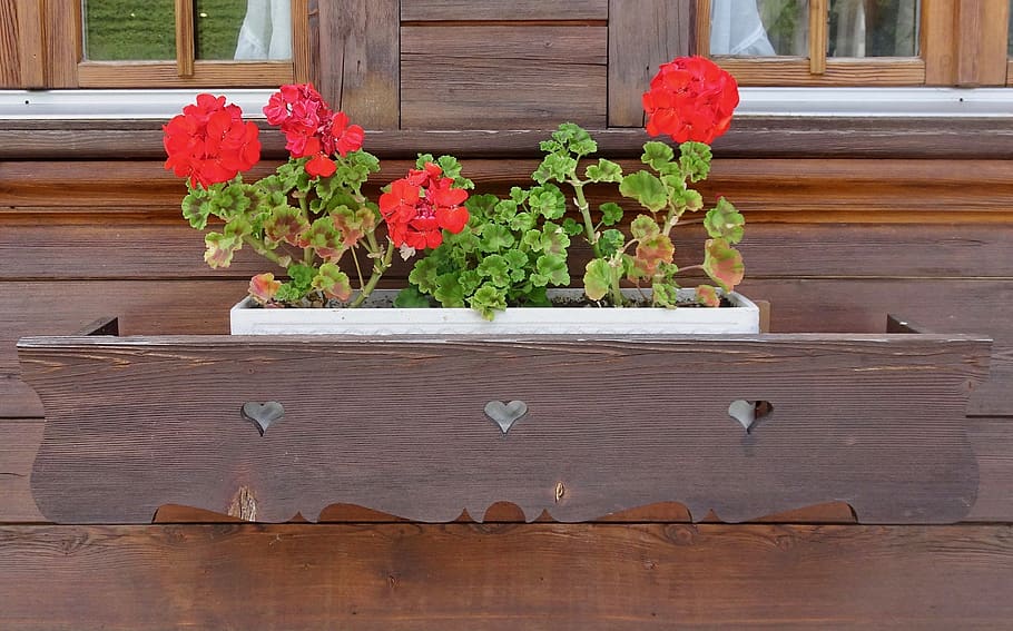 Hd Wallpaper Flowers Decoration House Wooden Simple Box