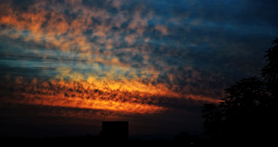dawn, nature, sky, clouds, backlit, dramatic, dusk, idyllic, leaves HD wallpaper