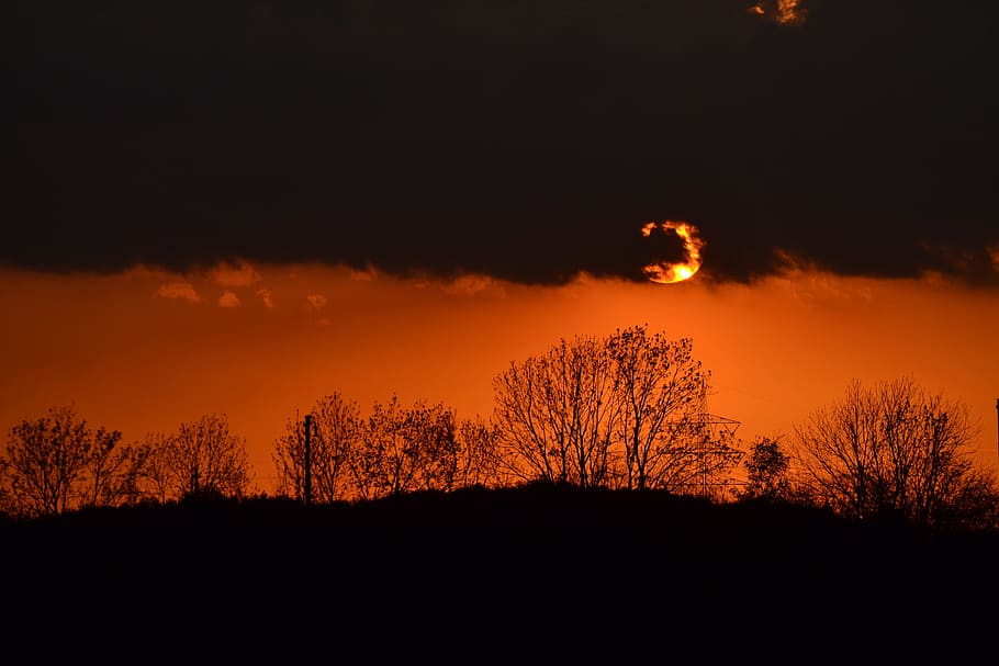 sunset, tree, silhouette, landscape, dusk, horizontal, sky HD wallpaper