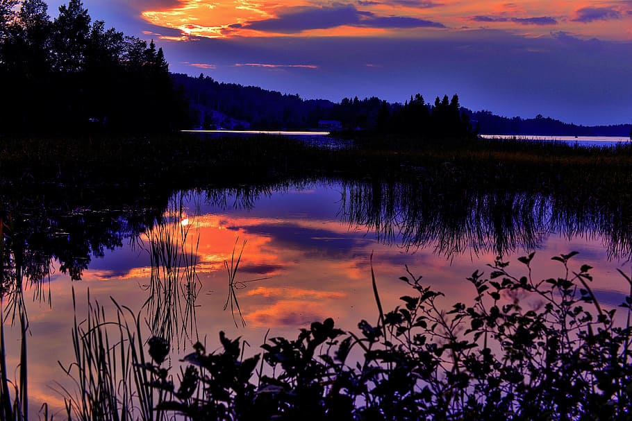 silhouette of trees beside body of water, sunset, lake, sky HD wallpaper