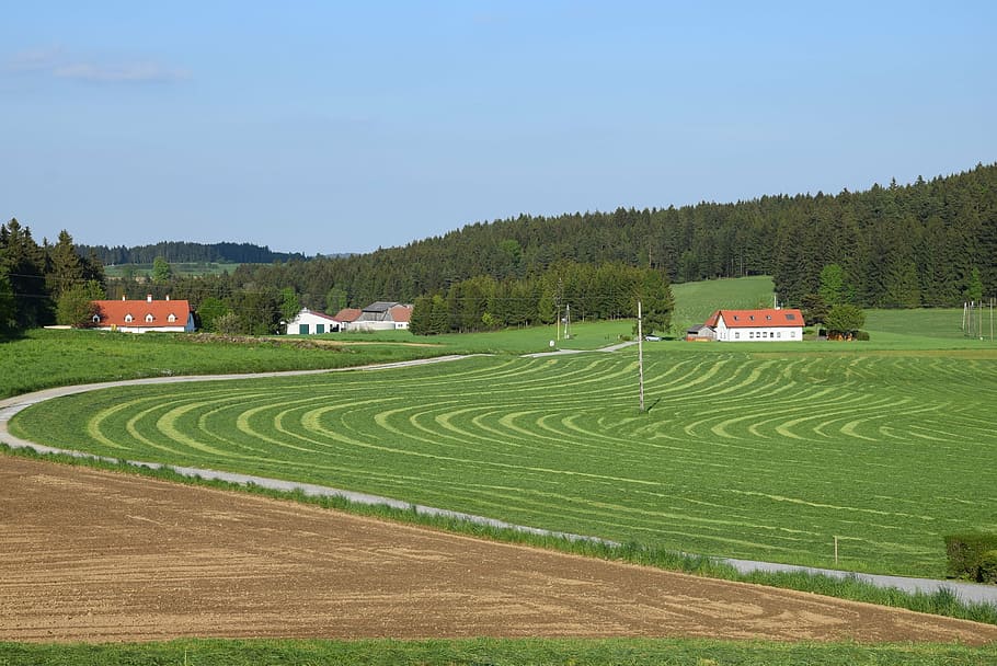 spring, meadow, landscape, harvest, ensiling, plant, tree, rural scene HD wallpaper