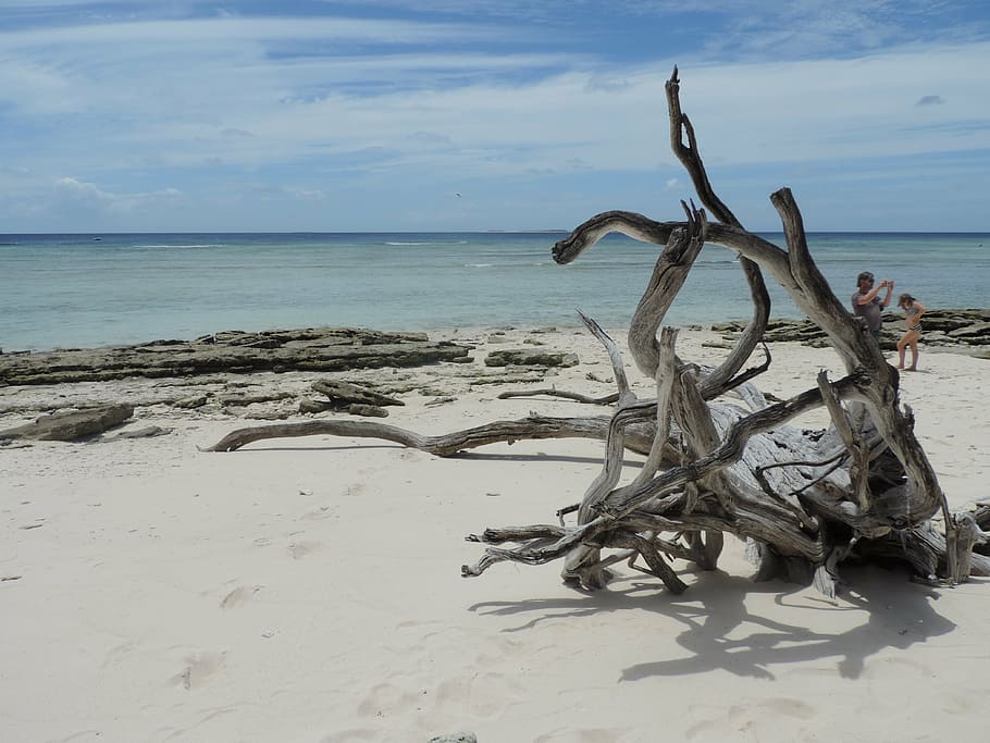 beach, ocean, water, sky, nature, summer, tropical, travel HD wallpaper