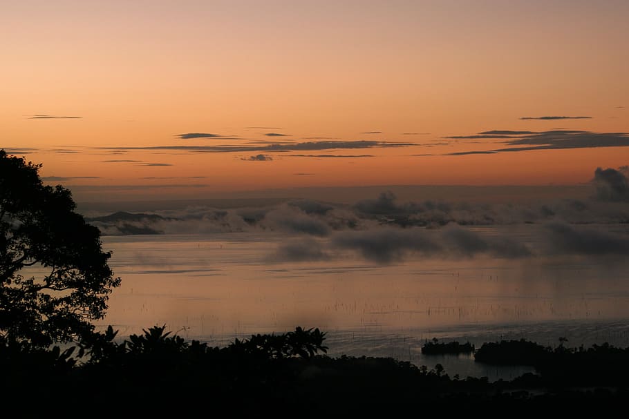sunset, jungle, fog, suriname, sky, beauty in nature, scenics - nature