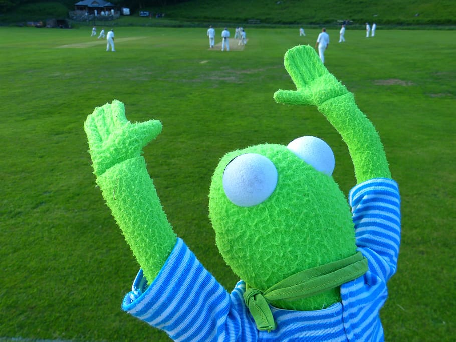kermit, cheer, fan, look forward, frog, cricket, team sports HD wallpaper