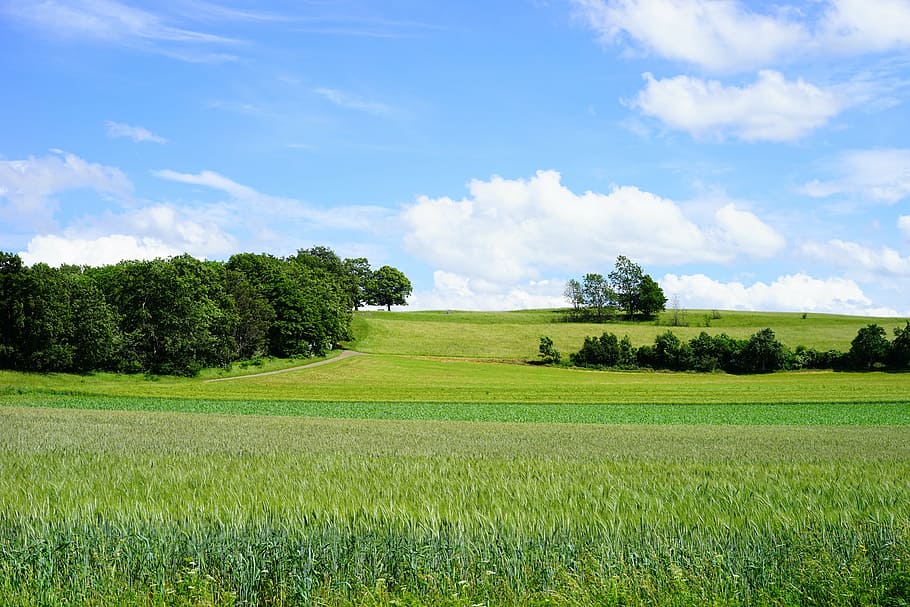 fields, reported, swabian alb, rand ecker maar, breitenstein HD wallpaper