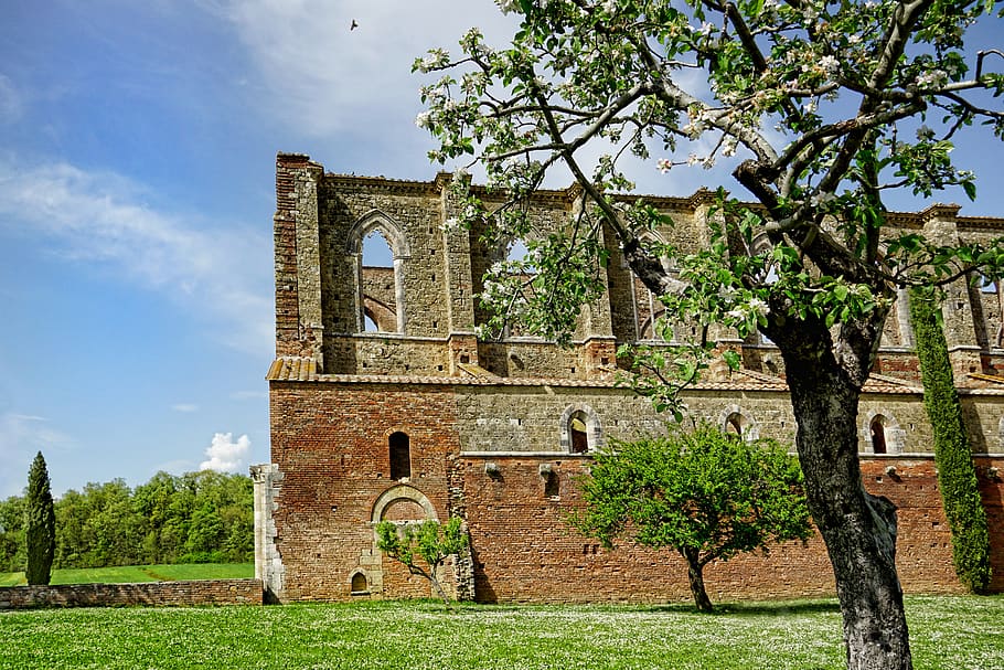 architecture, old, sky, tree, building, historically, church HD wallpaper