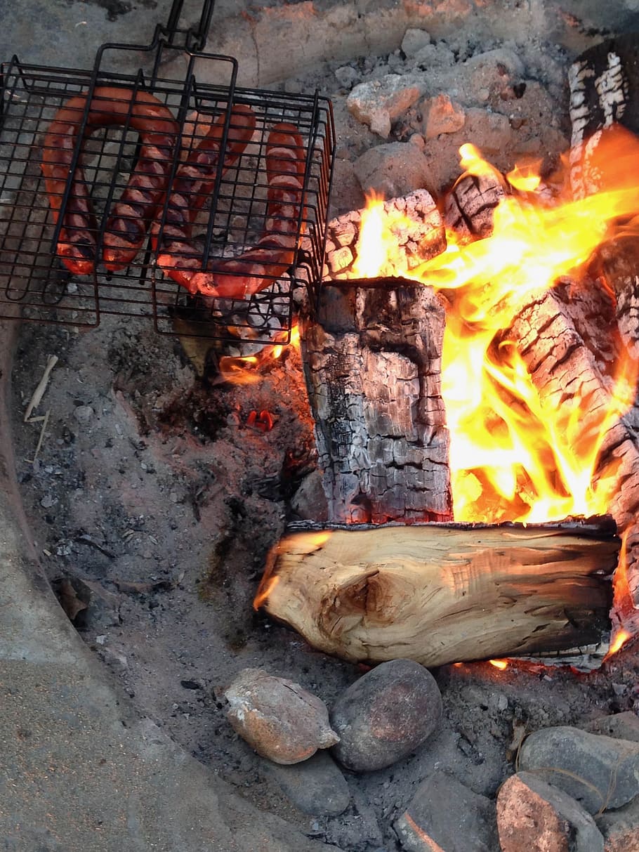 bonfire night, flame, heat, firewood, summer, evening, camping HD wallpaper
