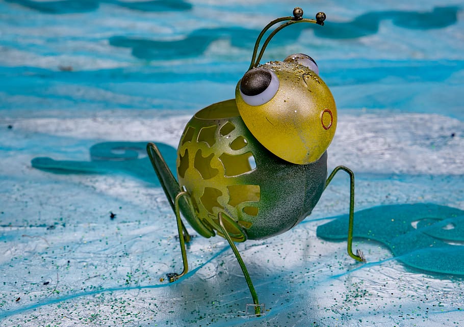art, beetle, blue, bug, glance, water, sea, yellow, no people HD wallpaper