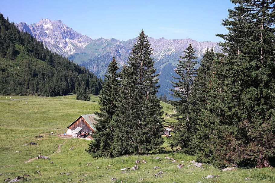 Willers, Alp, Bad Hindelang, willers alp, oberallgäu, mountain hut, HD wallpaper