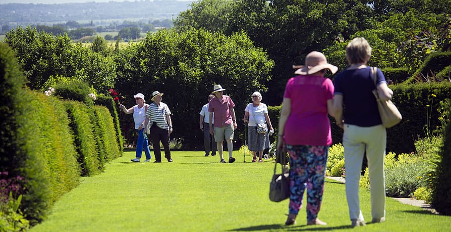 group of people walking on grass field with hedge walls, elderly visitors