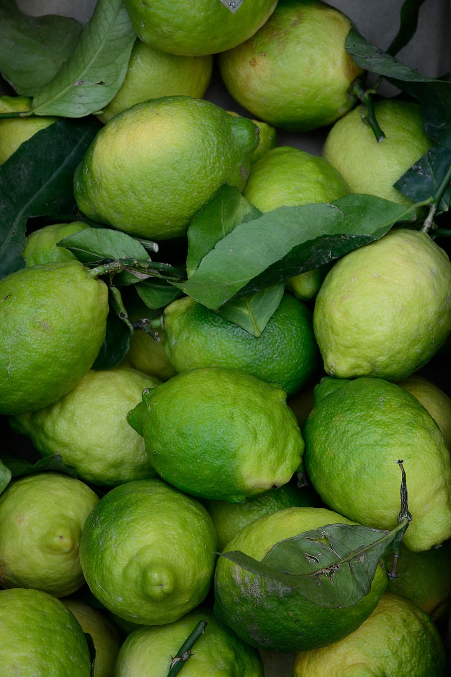 bunch of green guavas, stack of green guavas, lime, leaf, fruit HD wallpaper