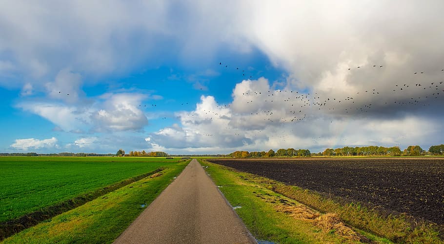 highway road between green grass field during daytime, autumn HD wallpaper
