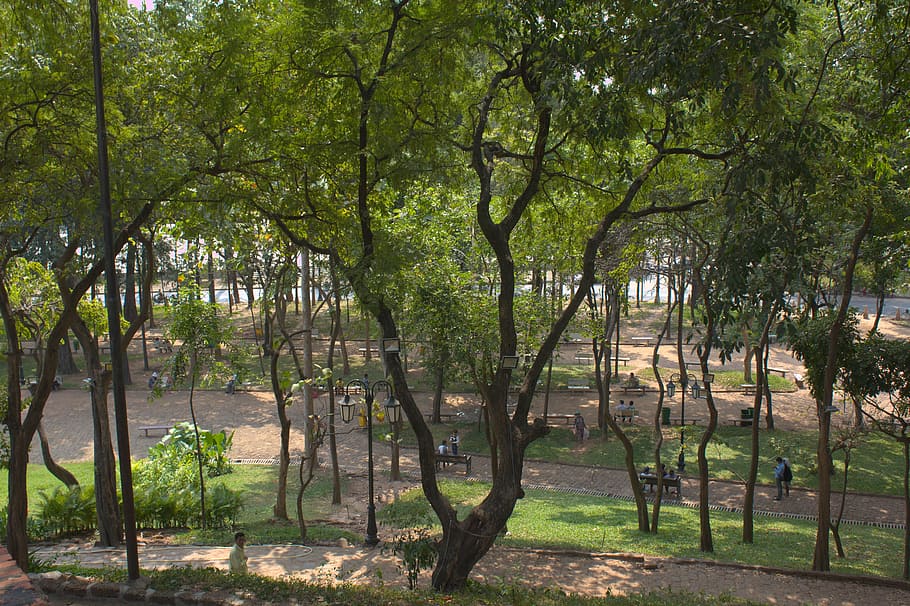 park, landscape, green, trees, outdoors, garden, urban, peaceful HD wallpaper