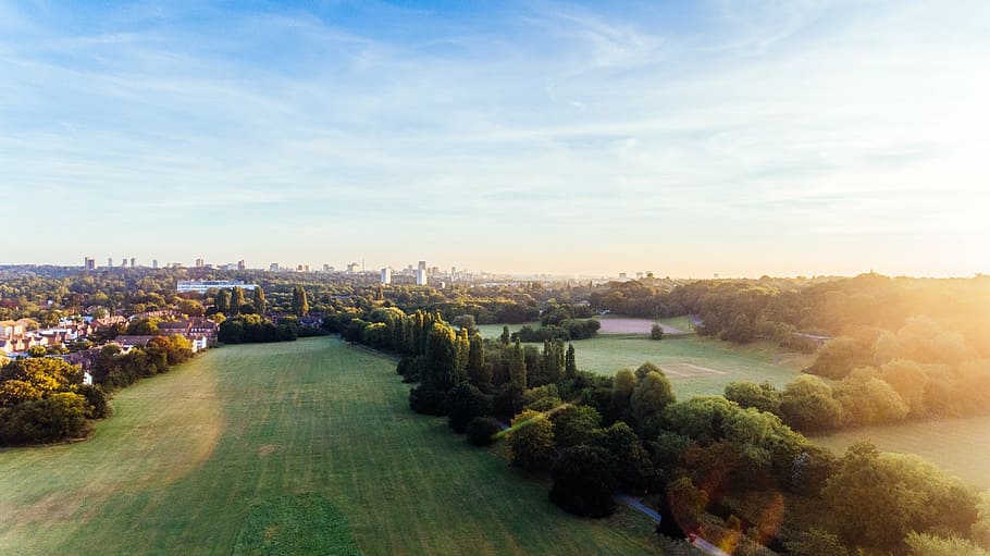 aerial photography of green grass field near trees, view, garden HD wallpaper