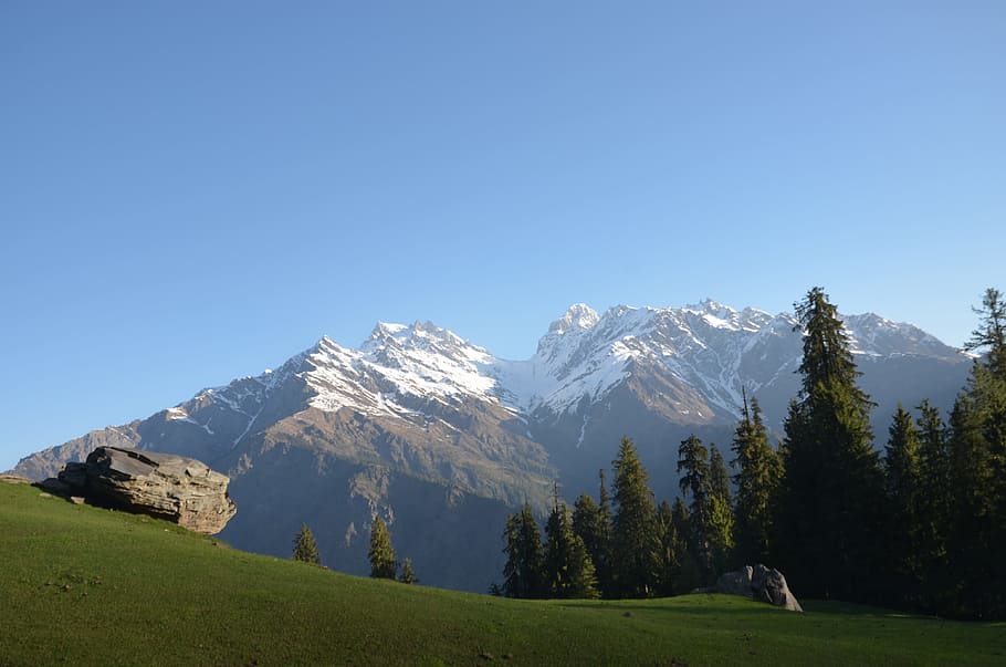 white and green mountain and gray rock near green trees, pine trees at the foot of snow cap mountain with facing green grass field during daytime HD wallpaper