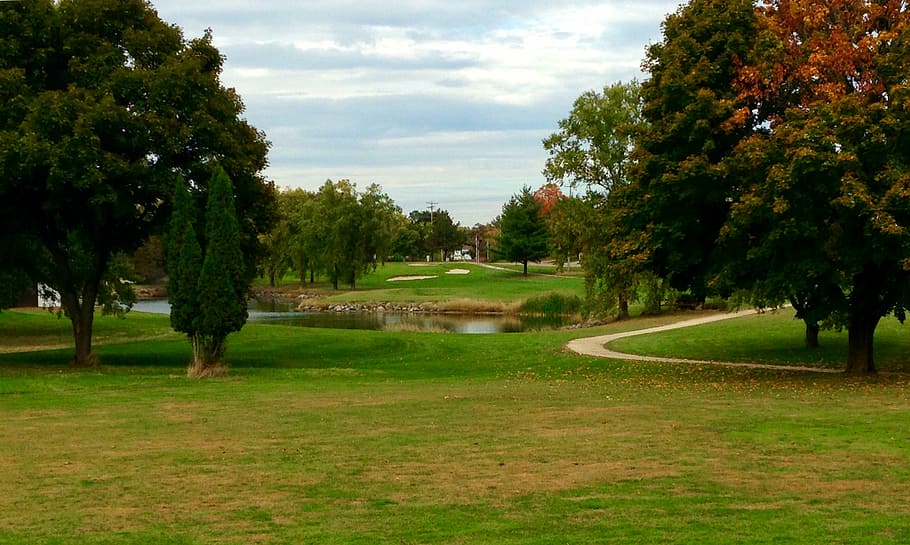 golf, wisconsin, fall, tree, field, nature, beauty in nature HD wallpaper