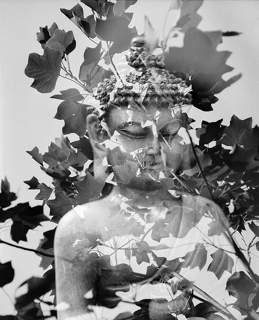 grayscale photography of Buddha standing, leaf, meditation, spiritual, HD wallpaper