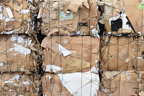 cardboard-recycle-recycling-bale-cardboard-thumbnail.jpg