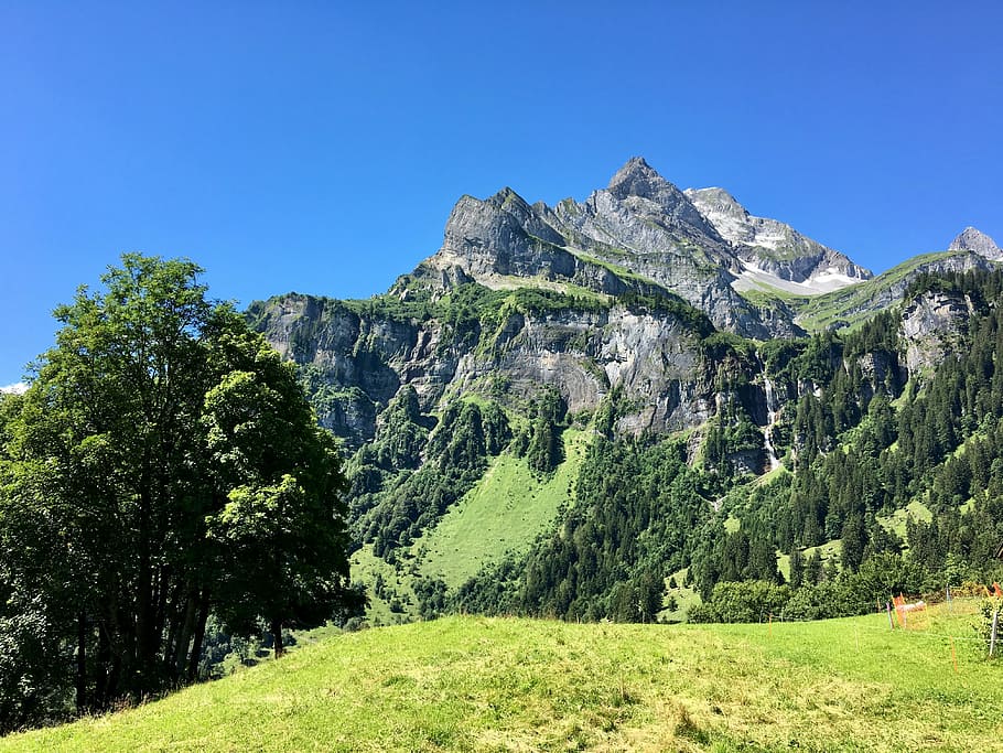 mountain, landscape, glarus, summer, nature, mood, alpine, forest HD wallpaper