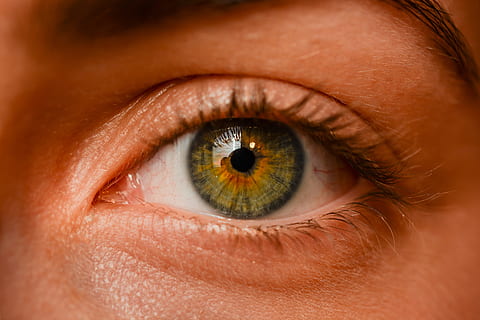 person with green and black eyes in close up photo, iris, sight HD wallpaper