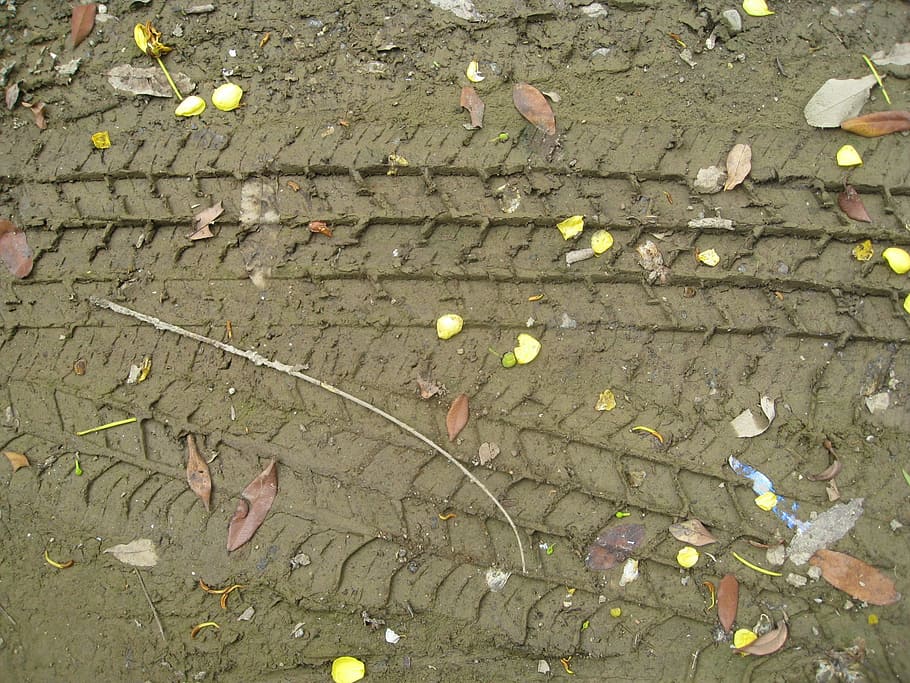 tyre tracks, marks, mud, wet, ground, dirt, earth, soil, brown HD wallpaper