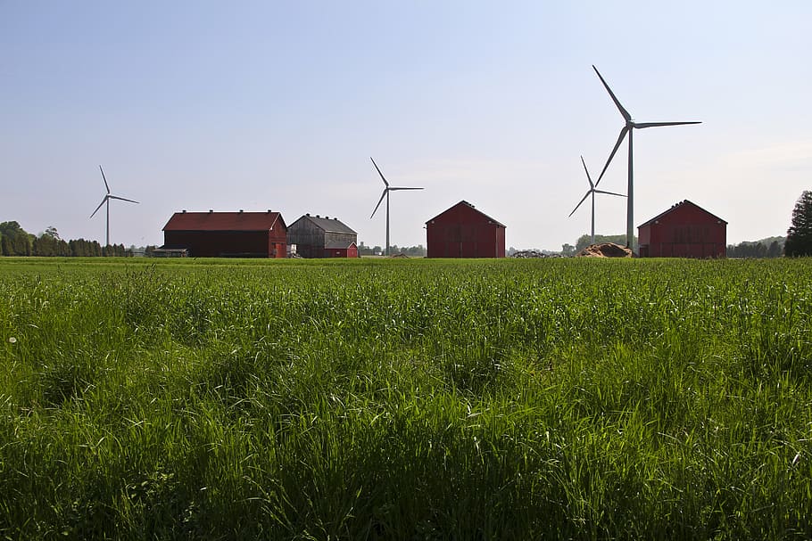 grass, windmills, landscape, sky, power, energy, countryside HD wallpaper