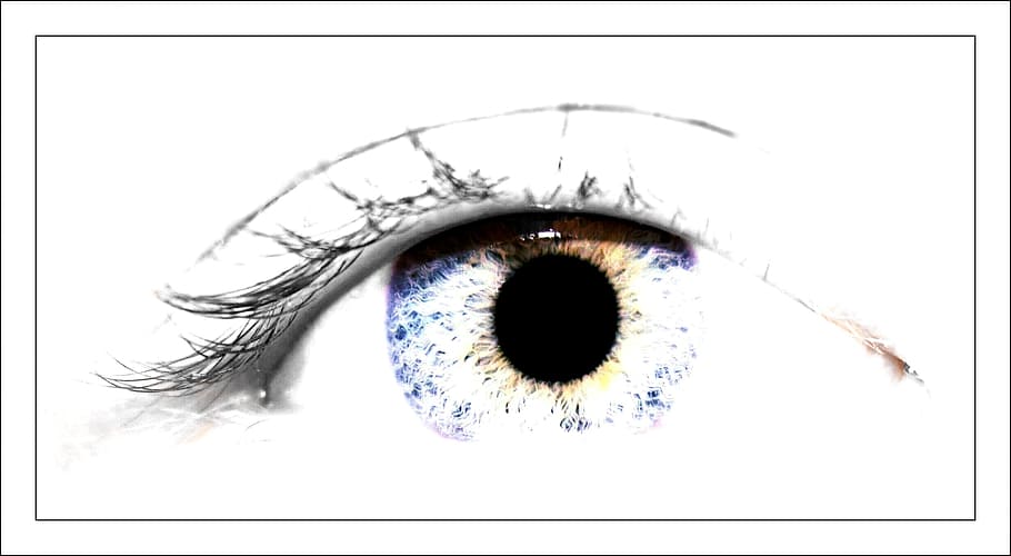 human eye, pupil, iris, see, eyelashes, lens, close up, macro HD wallpaper