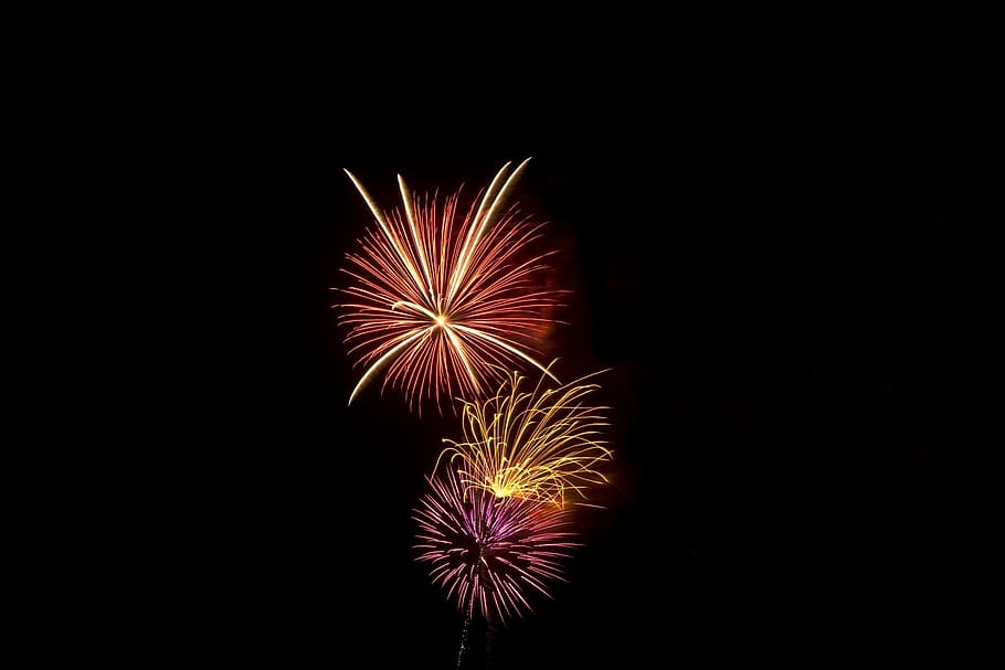 fireworks display, independence, pyrotechnics, light, holiday