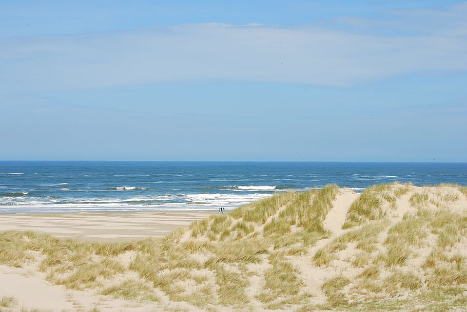 Dunes, Coast, Beach, Netherlands, Sea, nature, blue sky, view, HD wallpaper