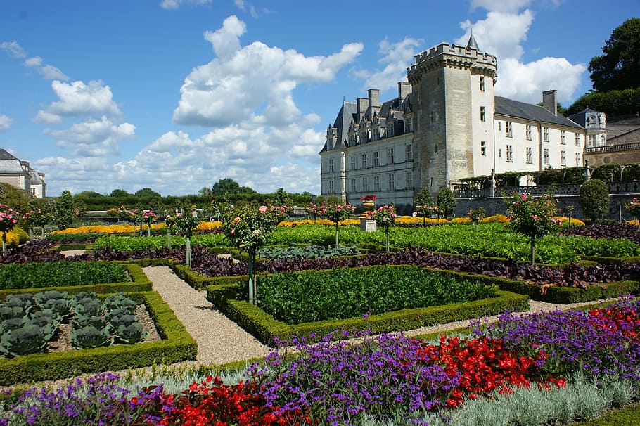 petaled flowers near concrete house at daytime, Castle, Villandry, HD wallpaper