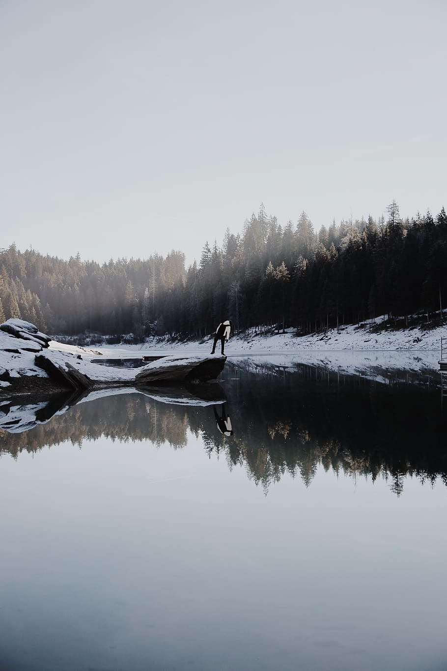 person beside lake near pine trees during daytime, man standing near body of water during daytime HD wallpaper