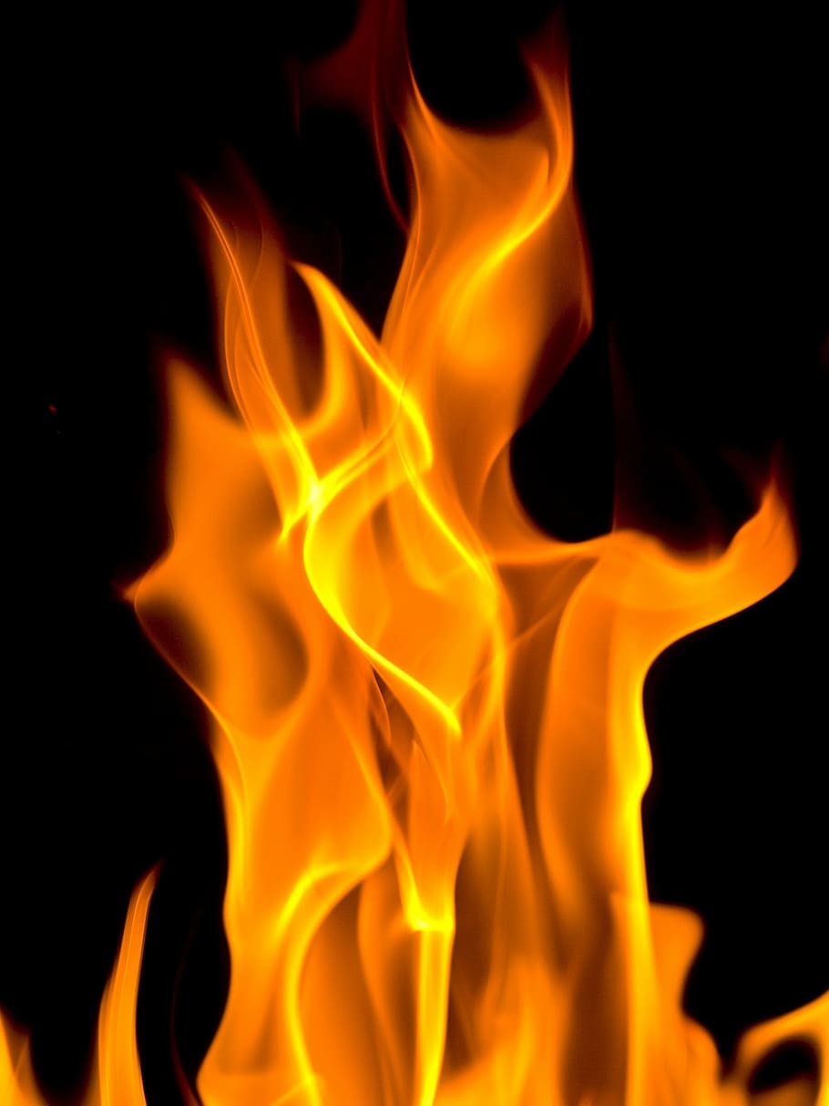 close up photography of fire, flames, flickering, burning, study, HD wallpaper