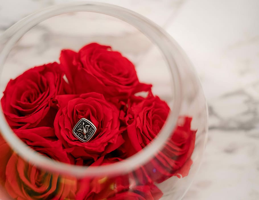 HD wallpaper: red flowers in clear glass bowl, photo of red roses