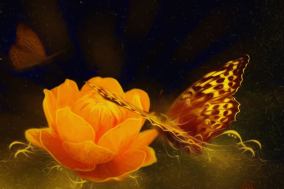 brown and black butterfly hovering near orange petaled flower illustration, HD wallpaper