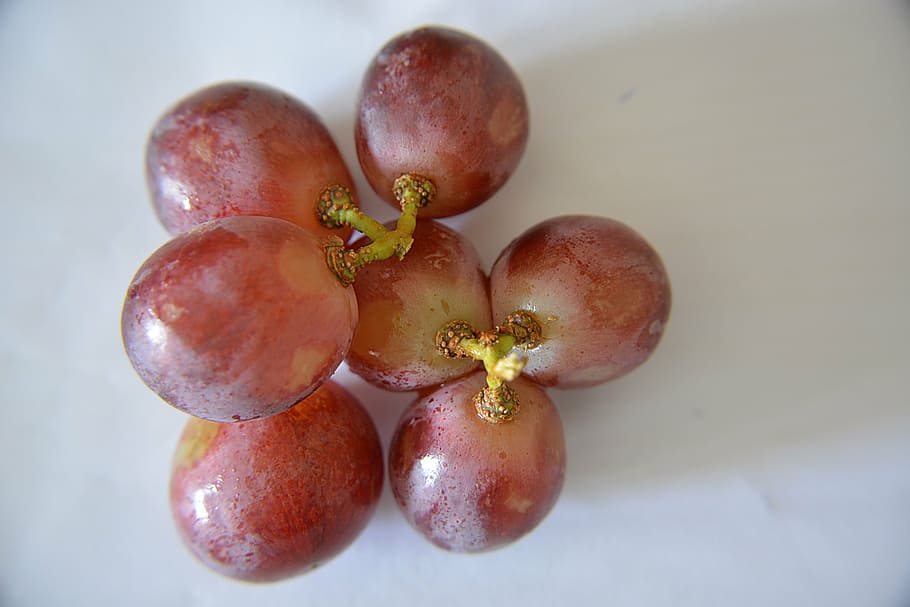 grapes, grains, fruit, vine, nature, wine, power, food, healthy eating HD wallpaper