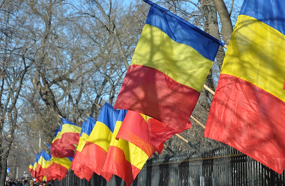 romania, flag, national day, europe, symbol, patriotism, tree