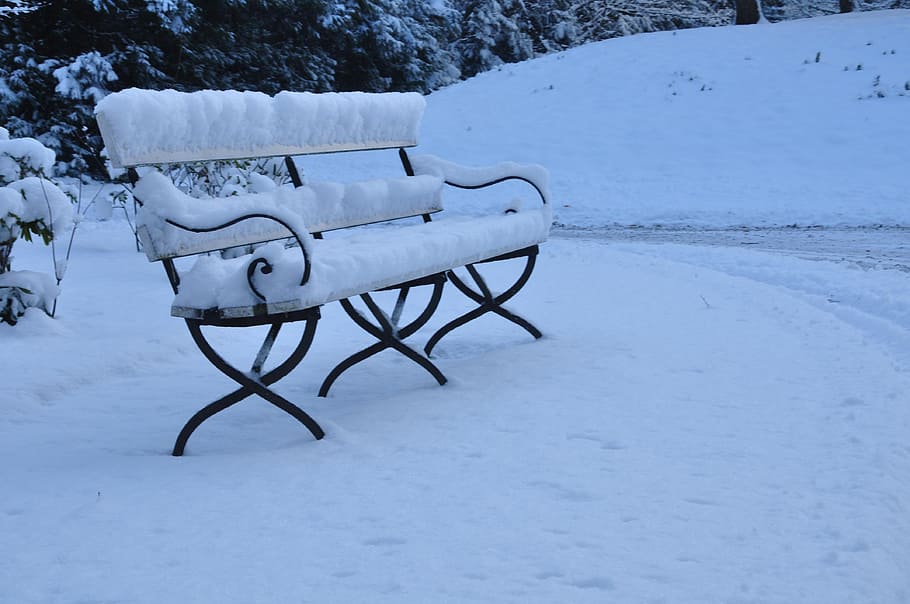 black steel bench with snow on top, Rest, Trees, unused, park HD wallpaper