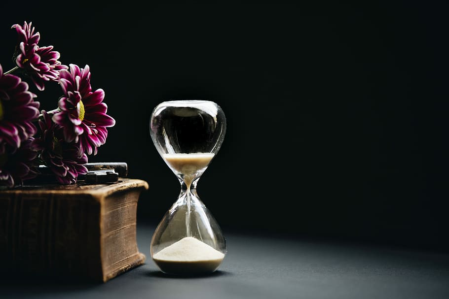clear hour glass beside pink flowers, clear hourglass beside brown book and red flowers, HD wallpaper