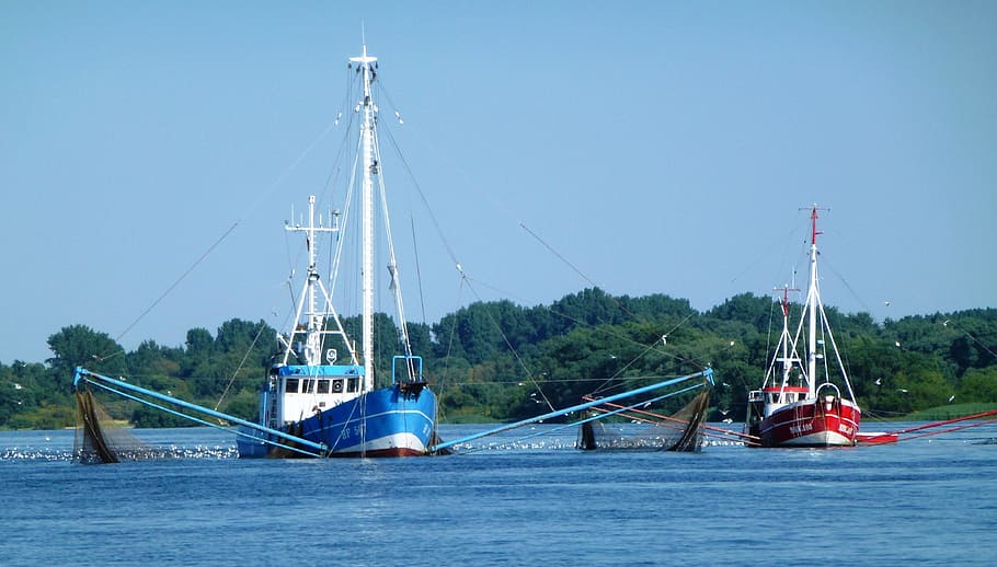 Fishing, Elbe, Nature, Seafaring, fishing vessel, blue, red, HD wallpaper