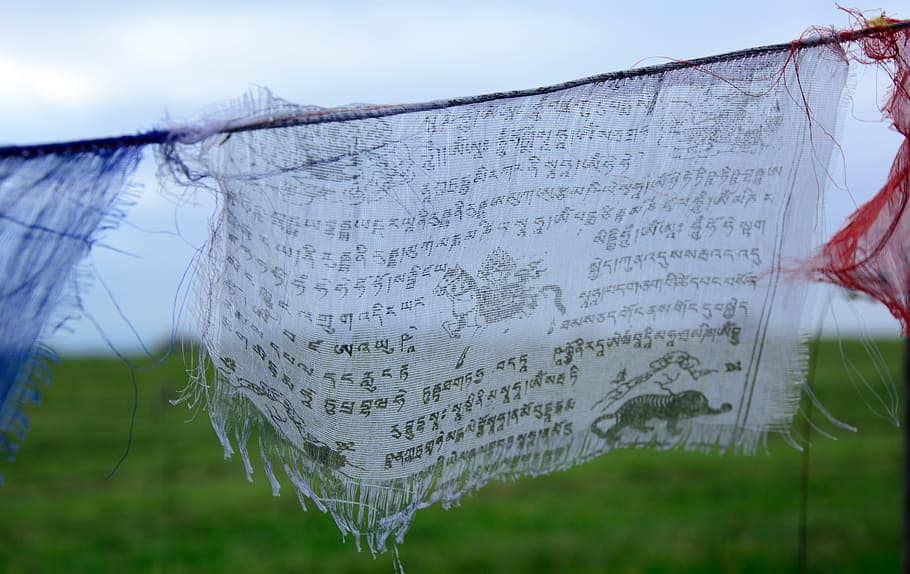 shallow focus photography of white textile, Prayer Flag, Buddhism