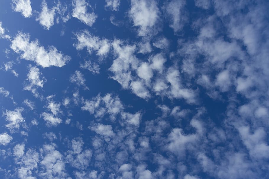 Clouds, Blue Sky, Sunny, backgrounds, nature, full frame, cloudscape HD wallpaper