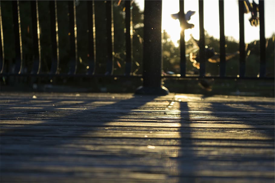 wood, deck, railing, sunset, shadows, yard, sunlight, nature HD wallpaper