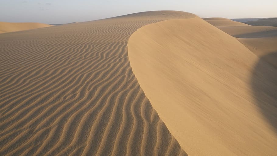 brown desert, dunes, sand, sand dune, landscape, scenics - nature HD wallpaper