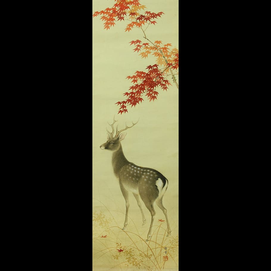 gray deer painting, japan, japanese, scroll, stag, asian, antique