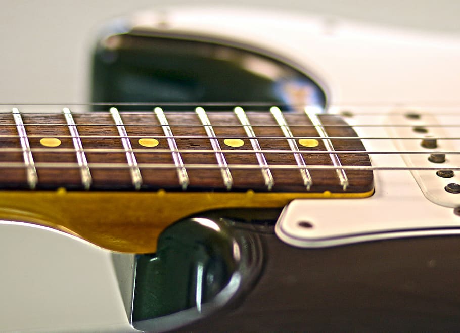 electric guitar, fender, strings, macro, section, salazar-white, HD wallpaper