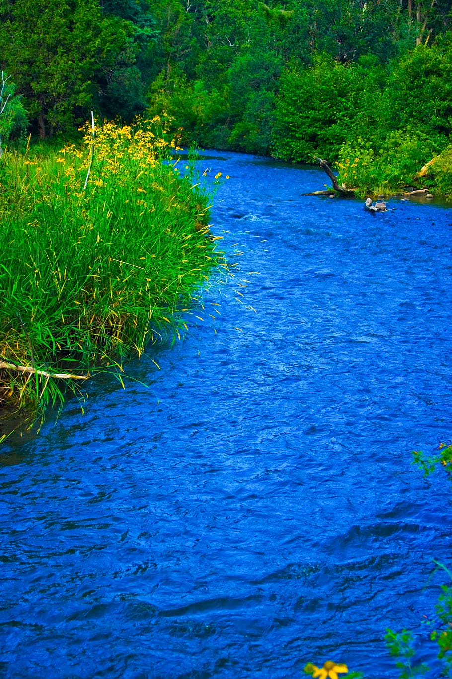 Mountain, River, Landscape, water, blue, nature, beauty in nature HD wallpaper