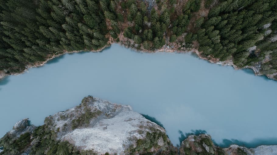 aerial view photography of photography of green pine trees, aerial photography of river in the middle of trees HD wallpaper
