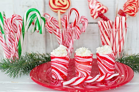 three red cups on red plate near candy canes, peppermint, sweets HD wallpaper