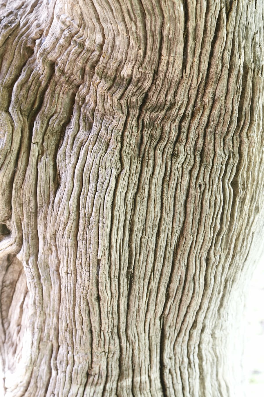 wood, tree, bark, old, nature, natural, wooden, texture, close-up HD wallpaper