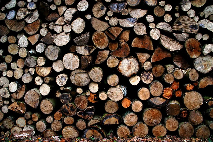 trunks, pattern, flora, nature, timber, wood, large group of objects HD wallpaper